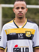 Wenderson Alves Arana